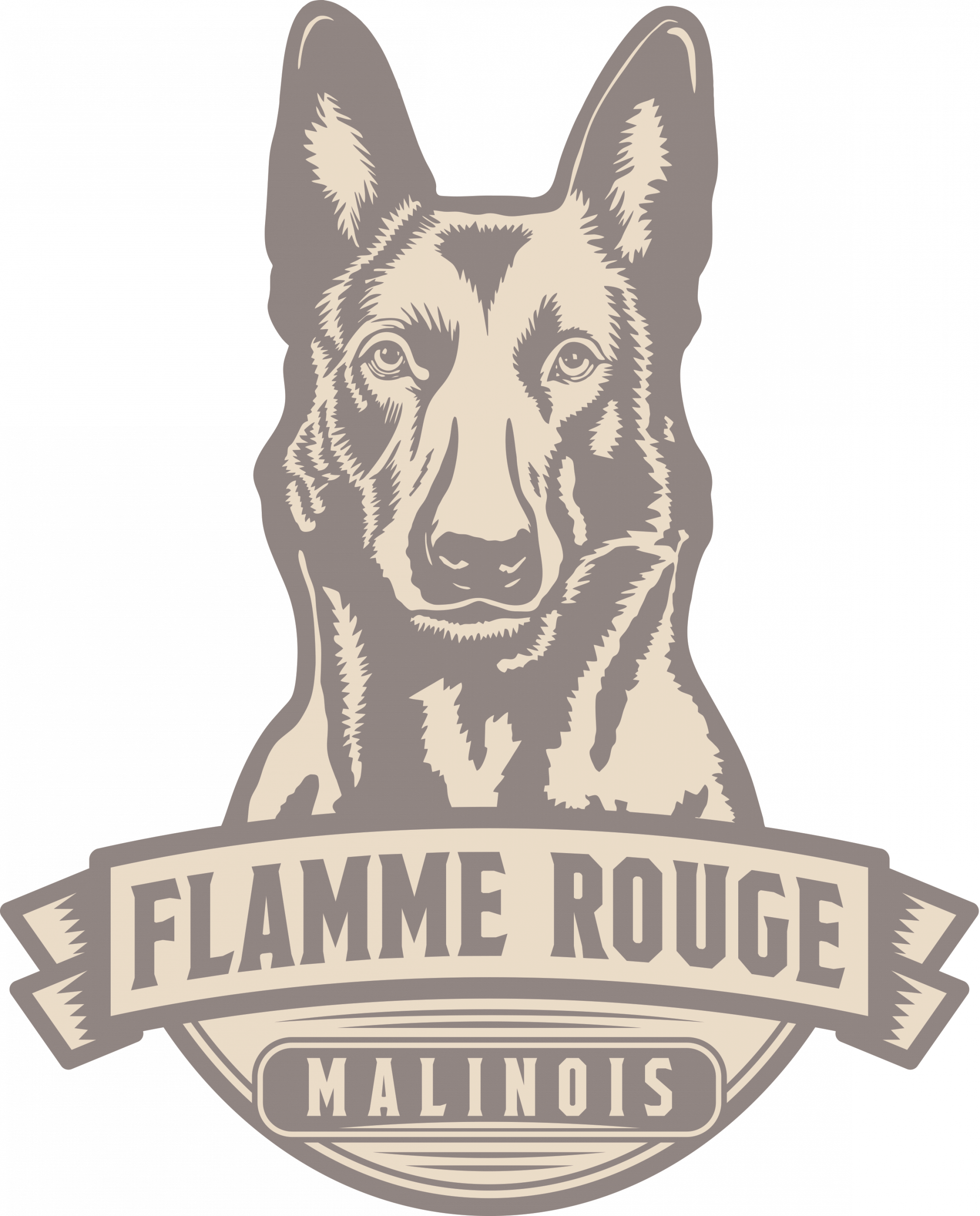 Malinois Zucht "Flamme Rouge"